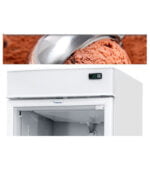 Congelador Vertical FRICON 20 pies³ VCFB 565V